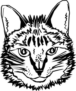 猫矢量绘图程式化的猫头的黑白色,t 恤, 封面,和其他使用矢量绘图照片