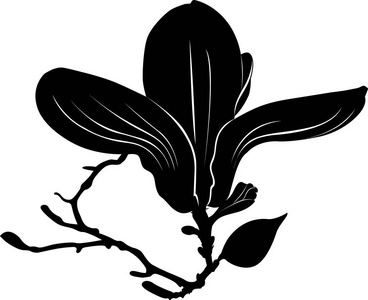 花树矢量模式无缝花纹浅纹理背景,树上有白玉兰花和鸟白玉兰开花的树