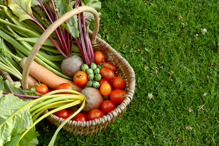 质朴的篮子里装满了新鲜的蔬菜，从分配