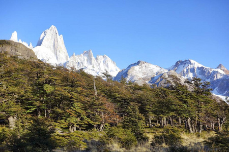 装载菲茨罗伊  洛杉矶冰川国家公园，巴塔哥尼亚，阿根廷