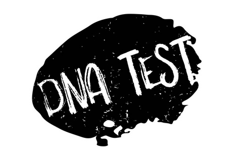 Dna 测试橡皮戳