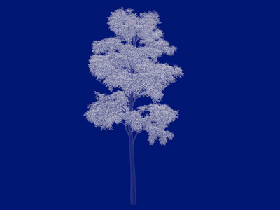 3d 渲染的空心树蓝图上孤立的蓝色背
