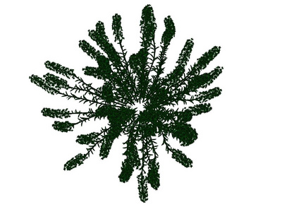 3d 渲染的概述的黑色布什与孤立的绿色边缘