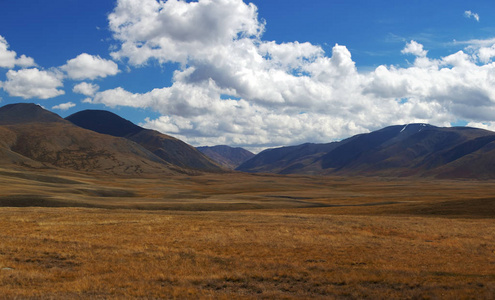 阿尔泰山。美丽的高原风景。俄罗斯。西伯利亚