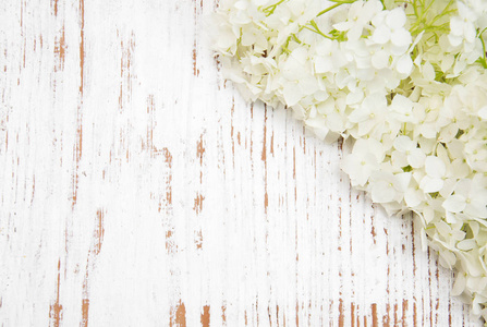 桌上的白色绣球花