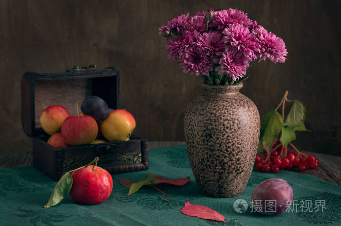 于秋花静物.绿色的台布上的花瓶里的菊花都装饰着秋天苹果和李子