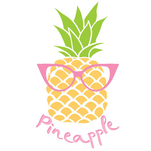 菠萝图案矢量图