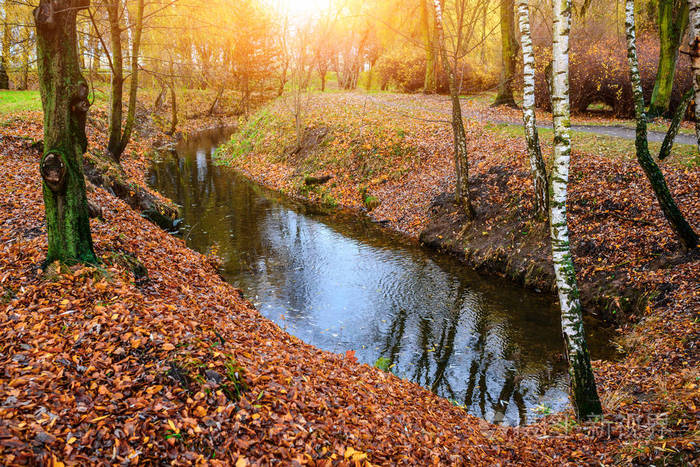 在秋天的树林中的小河
