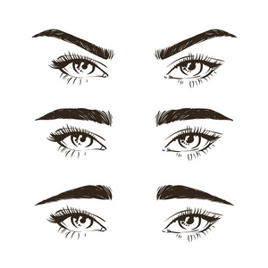 3 基本眉毛形状类型矢量图。时尚女性眉毛