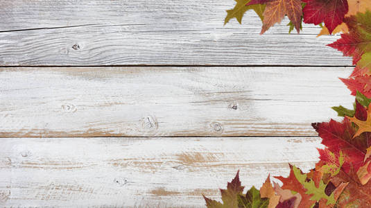 右边框的秋叶在乡村白色木板上