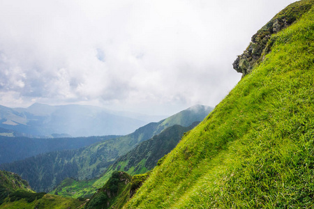 景观，旅游，旅游。绿色的山，树，草。水平框架