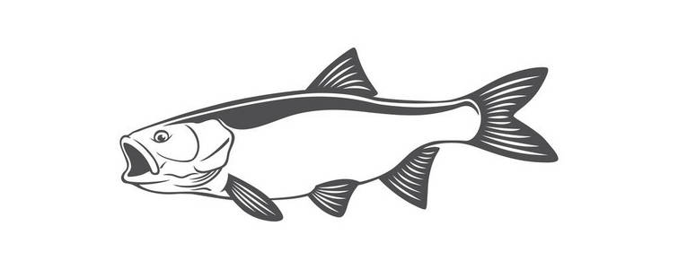 巨魔的剪影图片