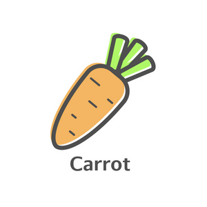 胡萝卜细线矢量图标。孤立的蔬菜线性样式菜单 标签 标志。简单的素食食品标志
