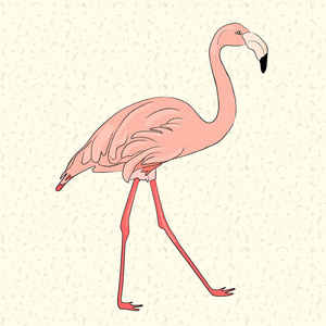 手工绘制的粉红色的火烈鸟