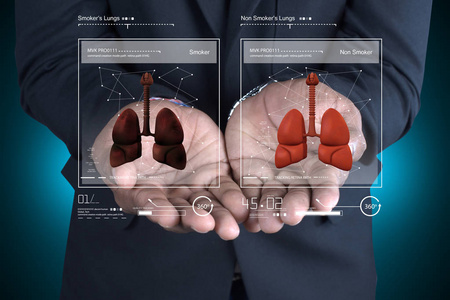 显示肺部的年轻医生的数字插图