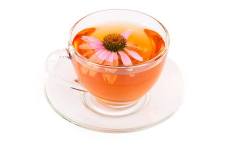 紫锥菊茶孤立在白色背景上。药茶