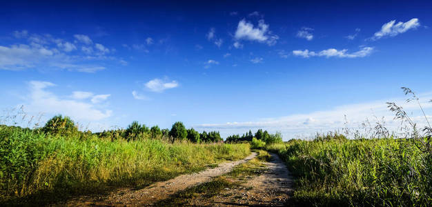 农村公路的字段