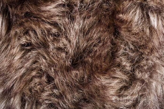 红棕色灰太狼, 狐狸, 熊皮毛自然, 动物野生动物