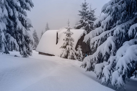 被雪覆盖着的老木小屋