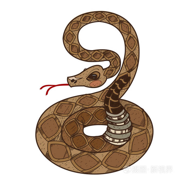 彩色的卡通响尾蛇