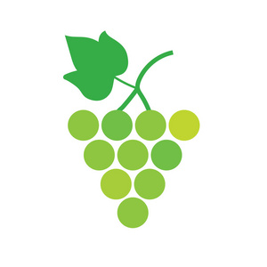 一堆白色的酒葡萄矢量图照片