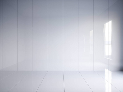 白色有光泽内政与墙上的垂直面板的 3d 渲染