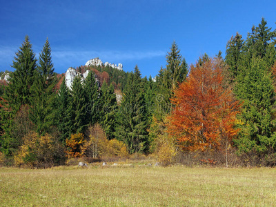 斯洛伐克弗拉特纳山谷的森林和岩石