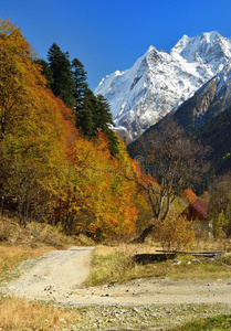 岩石 闲暇 高的 场景 自然 风景 攀登 房子 美丽的 公司