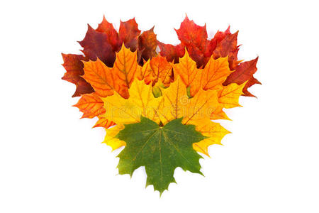 五彩缤纷的秋叶图片