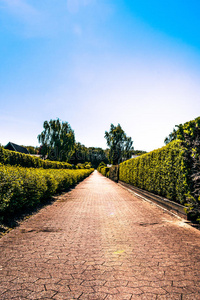 房地产 形象 风景 通路 花的 园艺 公园 自然 美丽的