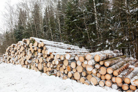 顶进 农业 木材 经济 环境 奥尔 材料 制造 木工 生长