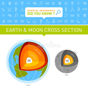 地球和月球横截面信息图