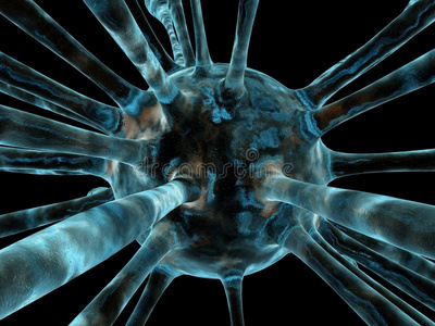 流感病毒的图片