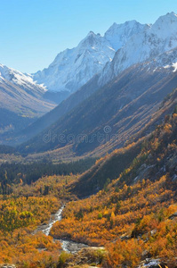 高加索山谷