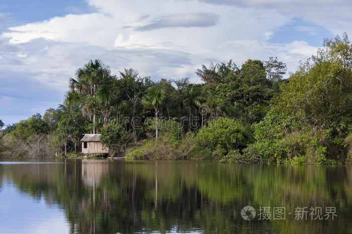 亚马逊河上的小屋