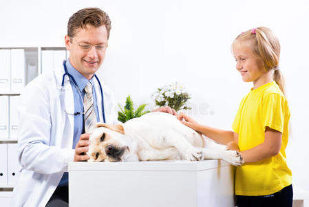 女孩在兽医诊所养狗