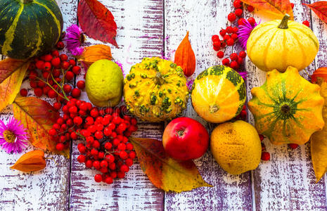秋秋背景表背景蔬菜水果图片