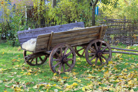 花园里的木制马车
