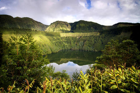 亚速尔群岛绿色岛屿