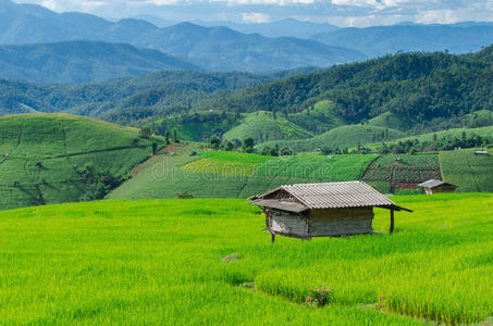 山地农场