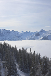 奥地利泽尔阿姆西滑雪场