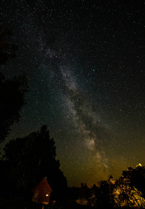 七彩树在夜空中看到的银河系图片