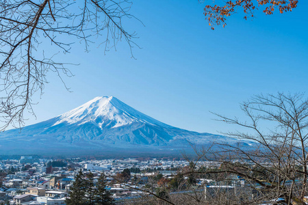 在河口湖山富士 San