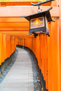 在肯塔基州伏见 inari 寺红牌坊盖茨走道