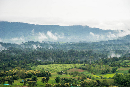 农村的小山丘的鸟瞰图雾遮盖住在早晨