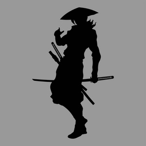 武士的剪影照片