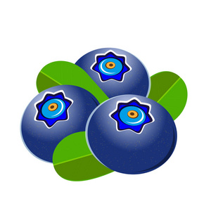 现实的蓝莓图片