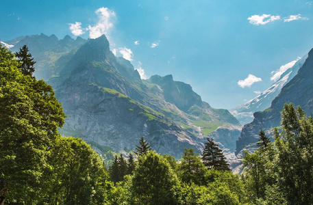 高山的夏日风光图片