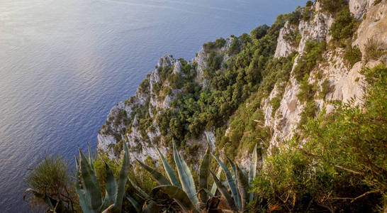 悬崖上意大利卡普里岛的全景