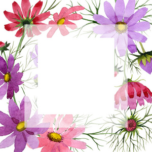 以水彩风格的野花 kosmeya 花相框